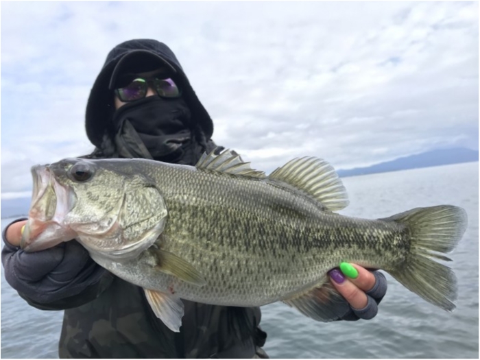 truth  ブログ写真 2020/11/11