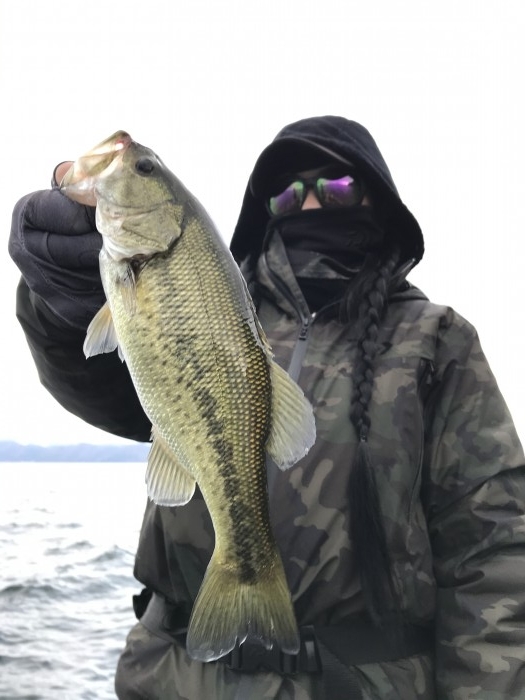 truth  ブログ写真 2020/11/11