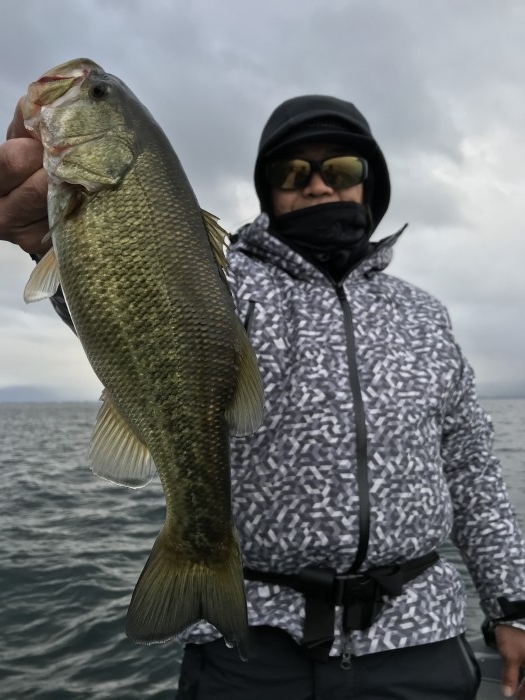 truth  ブログ写真 2020/11/11