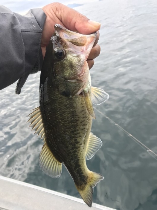 truth  ブログ写真 2020/11/13