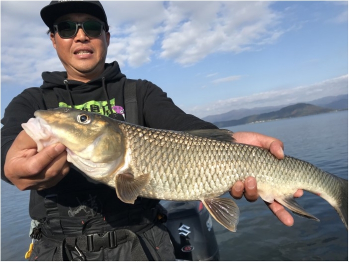 truth  ブログ写真 2020/11/13