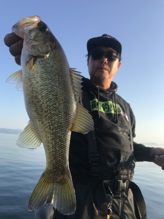 truth  ブログ写真 2020/11/13