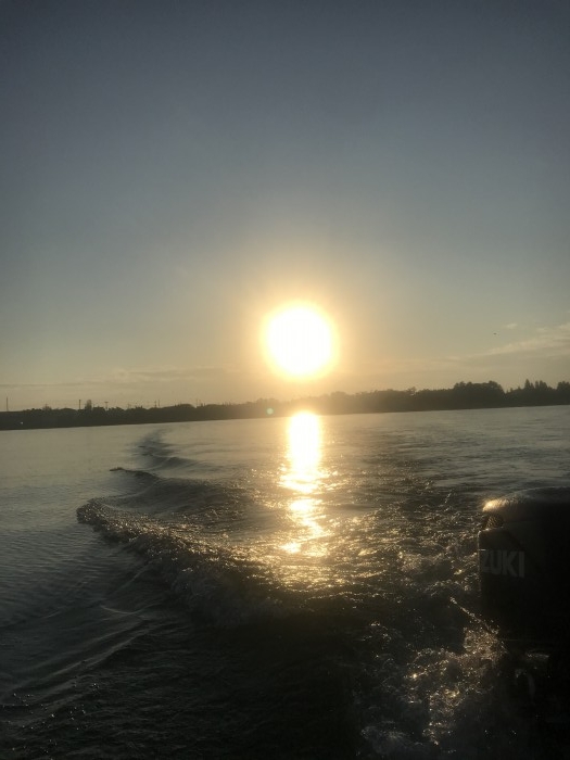 truth  ブログ写真 2020/11/13