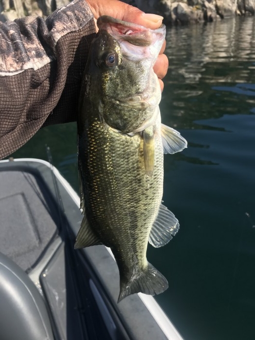 truth  ブログ写真 2020/11/13