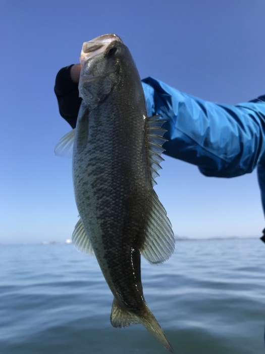 truth  ブログ写真 2020/11/14