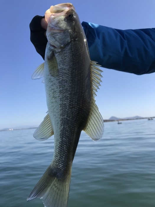 truth  ブログ写真 2020/11/14