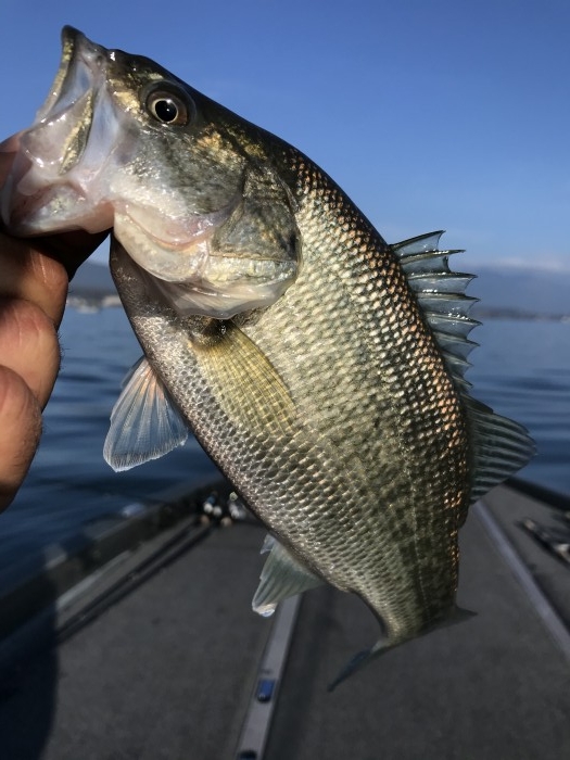 truth  ブログ写真 2020/11/16