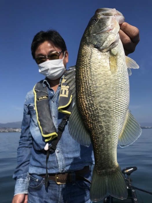 truth  ブログ写真 2020/11/16