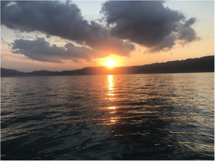 truth  ブログ写真 2020/11/16