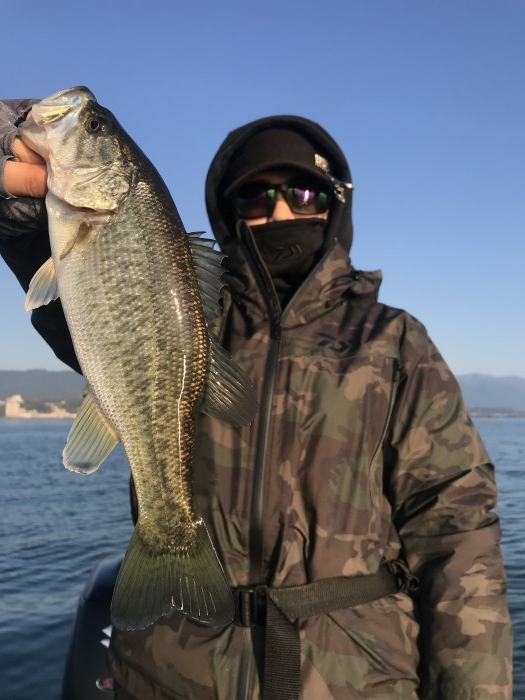 truth  ブログ写真 2020/11/17