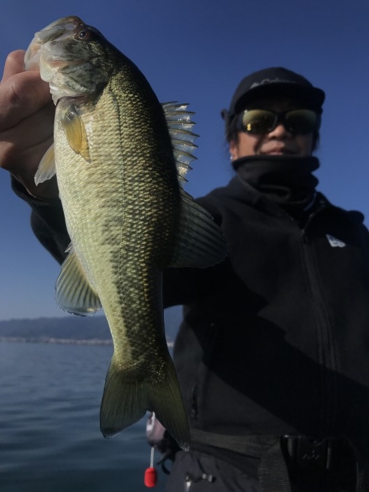 truth  ブログ写真 2020/11/17