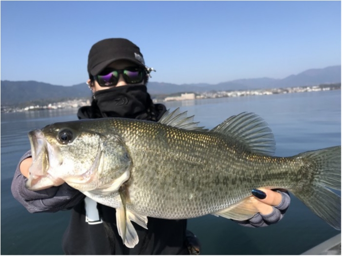 truth  ブログ写真 2020/11/17