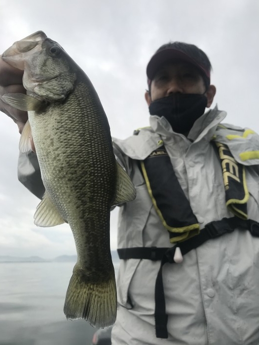 truth  ブログ写真 2020/11/20