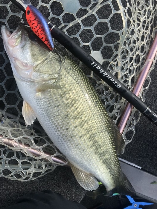 truth  ブログ写真 2020/11/20