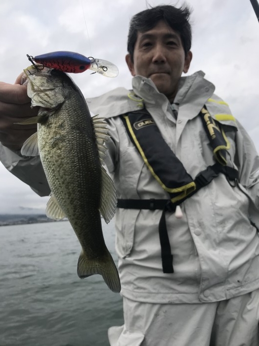 truth  ブログ写真 2020/11/20