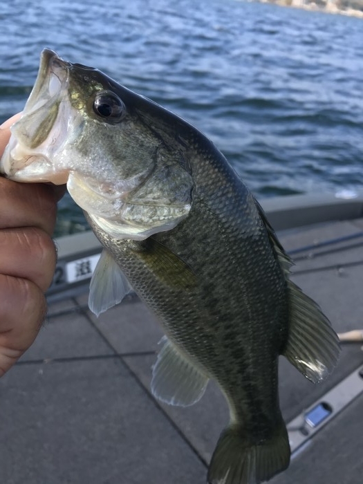 truth  ブログ写真 2020/11/21