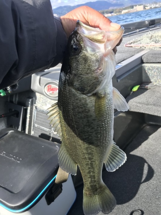 truth  ブログ写真 2020/11/21