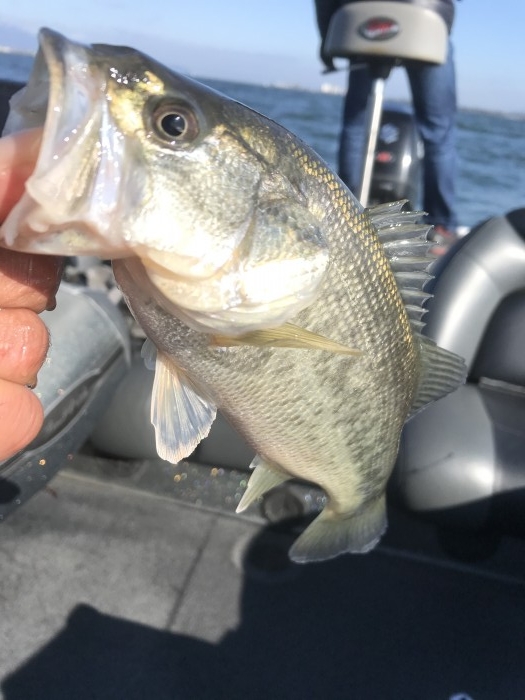 truth  ブログ写真 2020/12/05