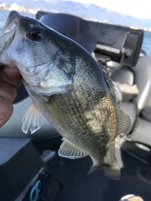 truth  ブログ写真 2020/12/06