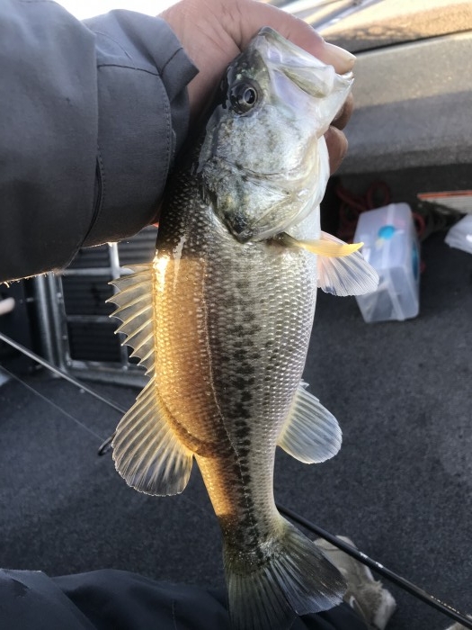 truth  ブログ写真 2020/12/06