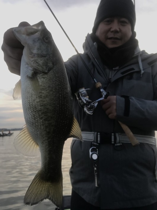 truth  ブログ写真 2020/12/11