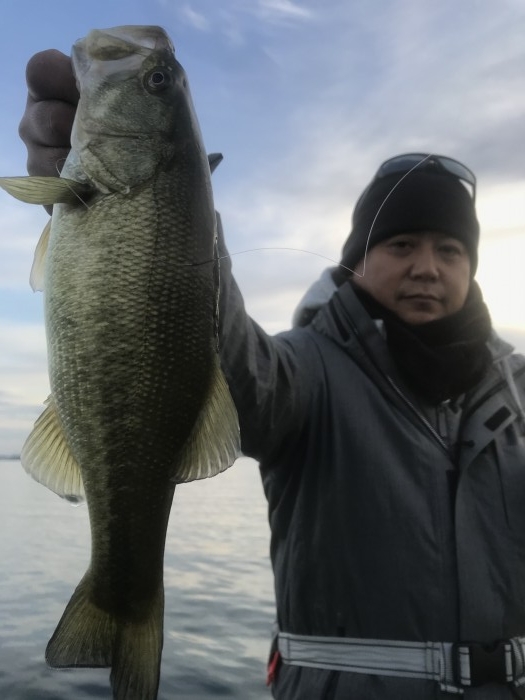 truth  ブログ写真 2020/12/11