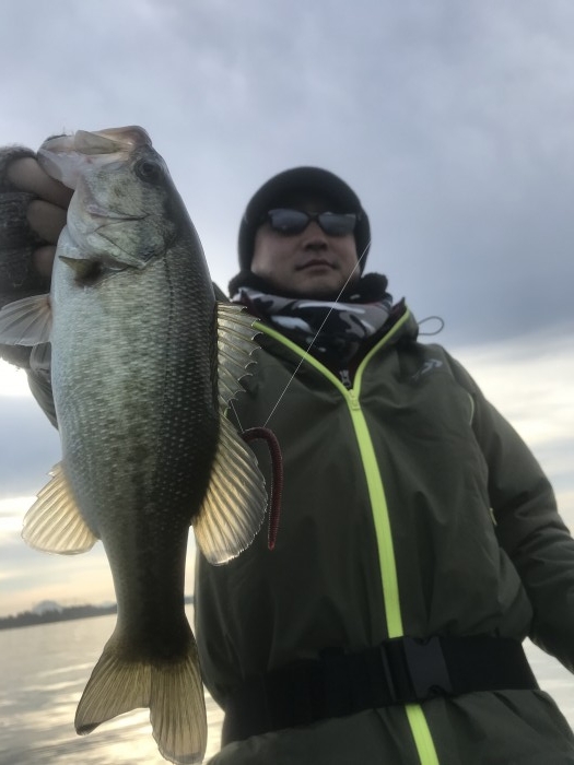 truth  ブログ写真 2020/12/11