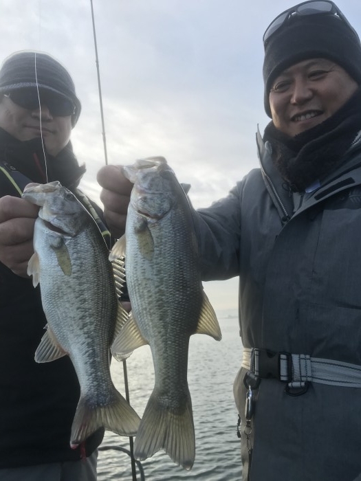 truth  ブログ写真 2020/12/11