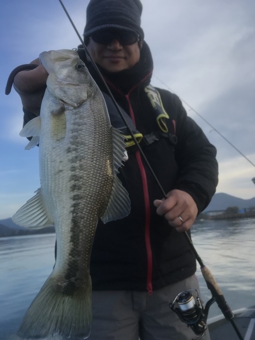 truth  ブログ写真 2020/12/11