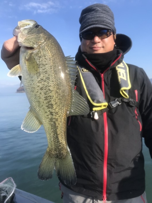 truth  ブログ写真 2020/12/11