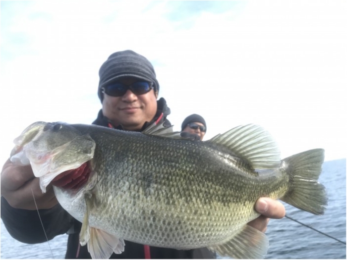 truth  ブログ写真 2020/12/11