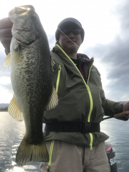 truth  ブログ写真 2020/12/11