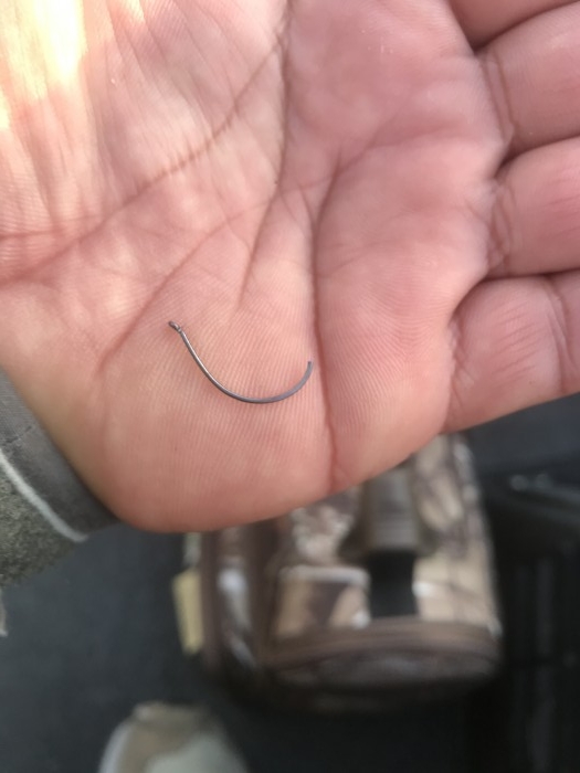 truth  ブログ写真 2020/12/12