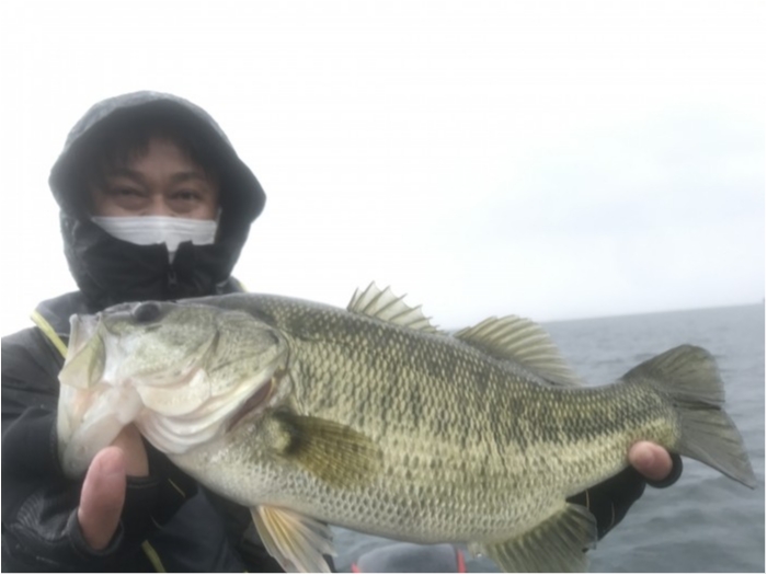 truth  ブログ写真 2020/12/12