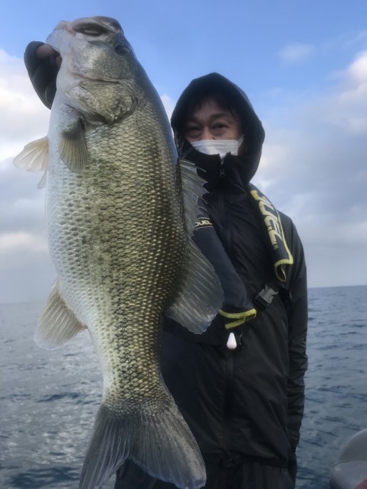 truth  ブログ写真 2020/12/12