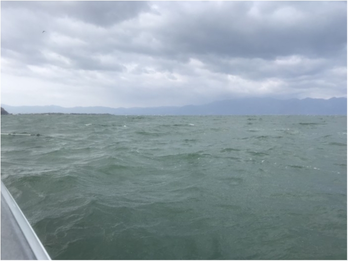 truth  ブログ写真 2020/12/14