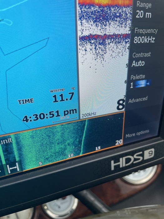 truth  ブログ写真 2021/02/14