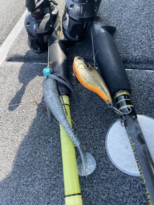 truth  ブログ写真 2021/02/21