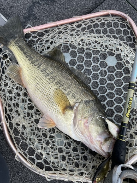 truth  ブログ写真 2021/03/01