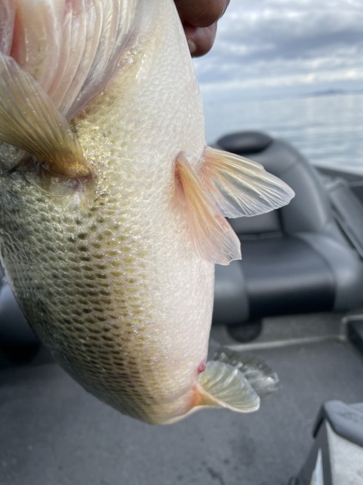 truth  ブログ写真 2021/03/01