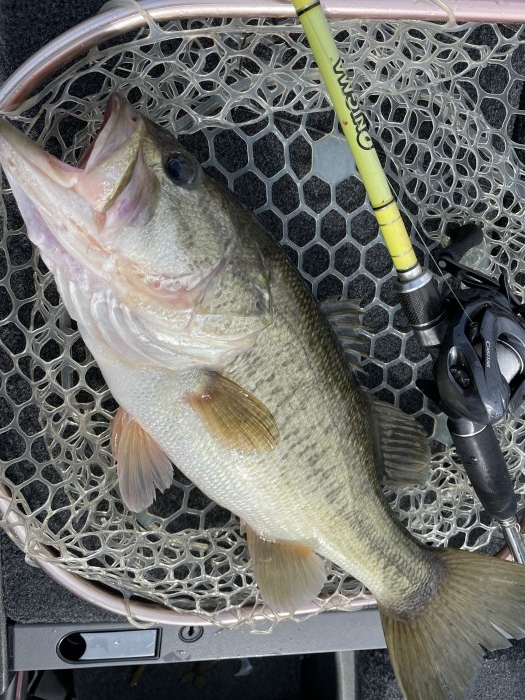 truth  ブログ写真 2021/03/03