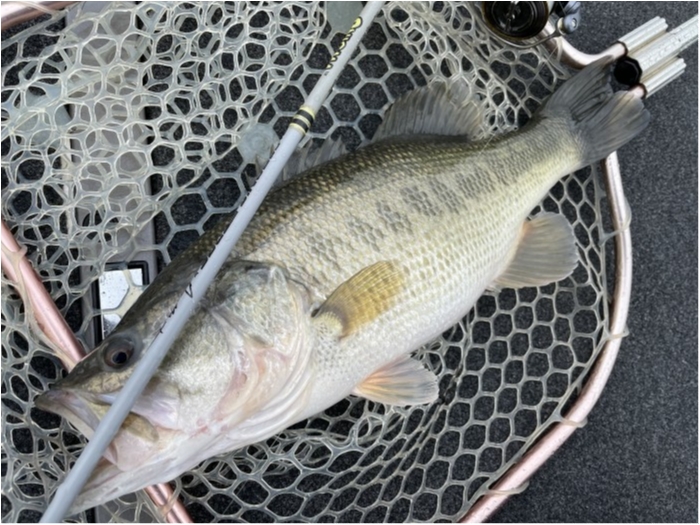 truth  ブログ写真 2021/03/05