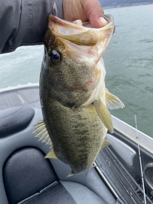 truth  ブログ写真 2021/03/05