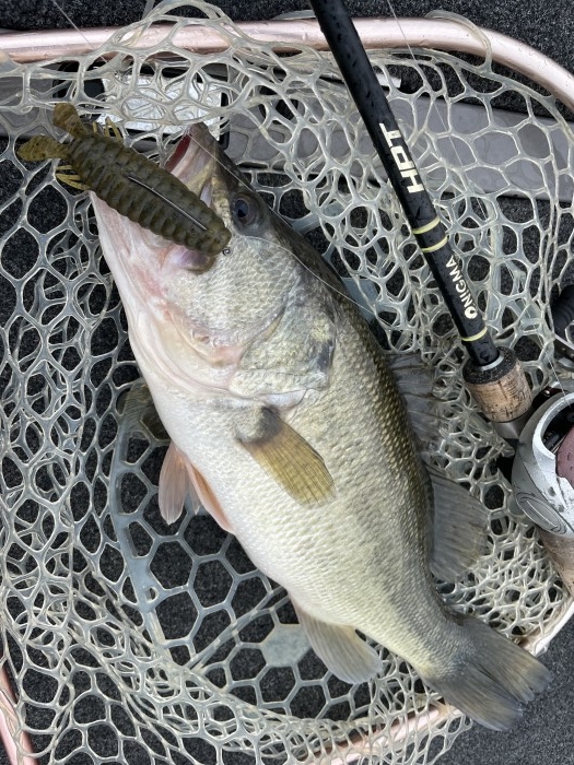 truth  ブログ写真 2021/03/05