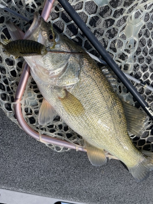 truth  ブログ写真 2021/03/07