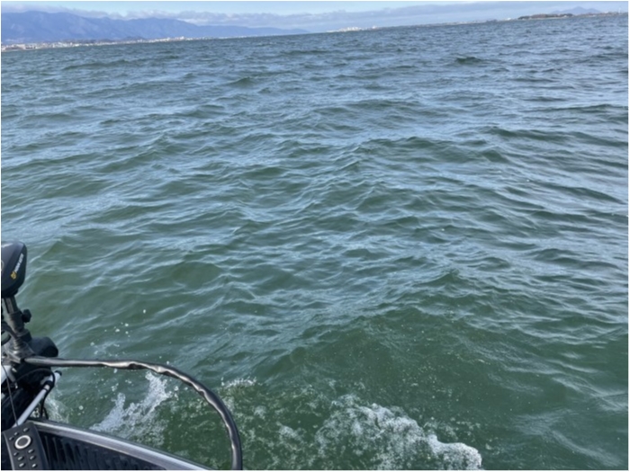 truth  ブログ写真 2021/03/08