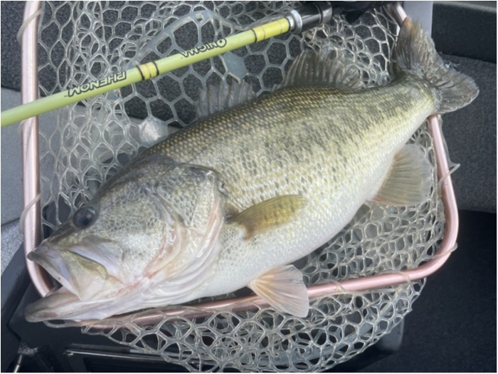 truth  ブログ写真 2021/03/10