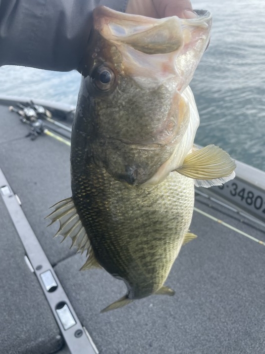 truth  ブログ写真 2021/03/10