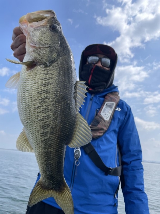 truth  ブログ写真 2021/03/10