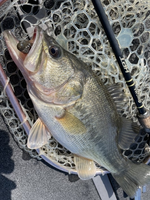 truth  ブログ写真 2021/03/10